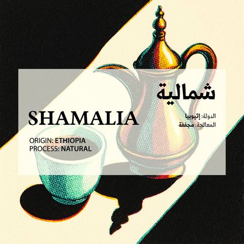 شمالية - Shamalia(Saudi Coffee)