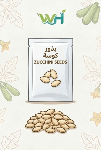 بذور كوسة