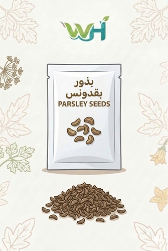 بذور بقدونس