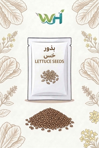 بذور خس