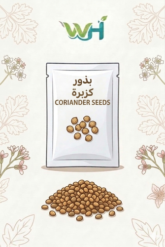 بذور كزبرة