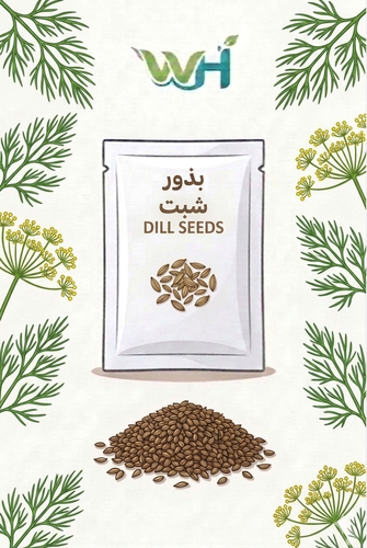 بذور شبت