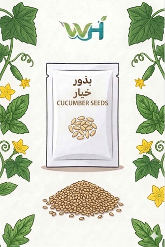 بذور خيار