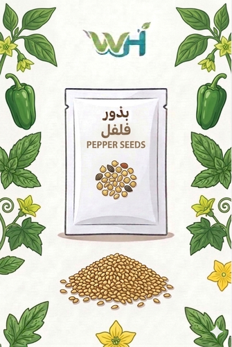 بذور الفلفل 