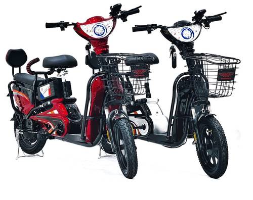 E bike