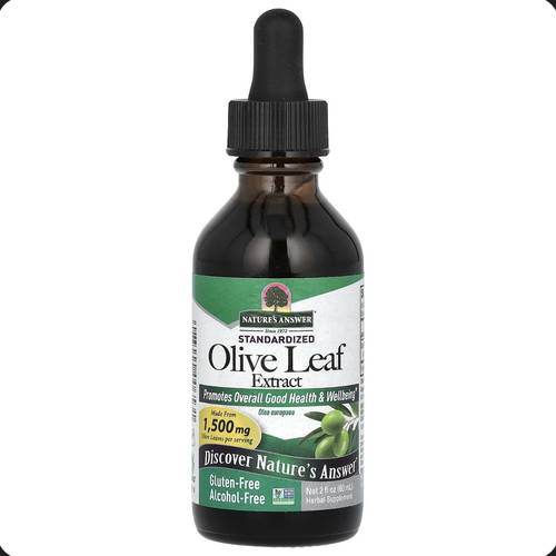 Olive leaf