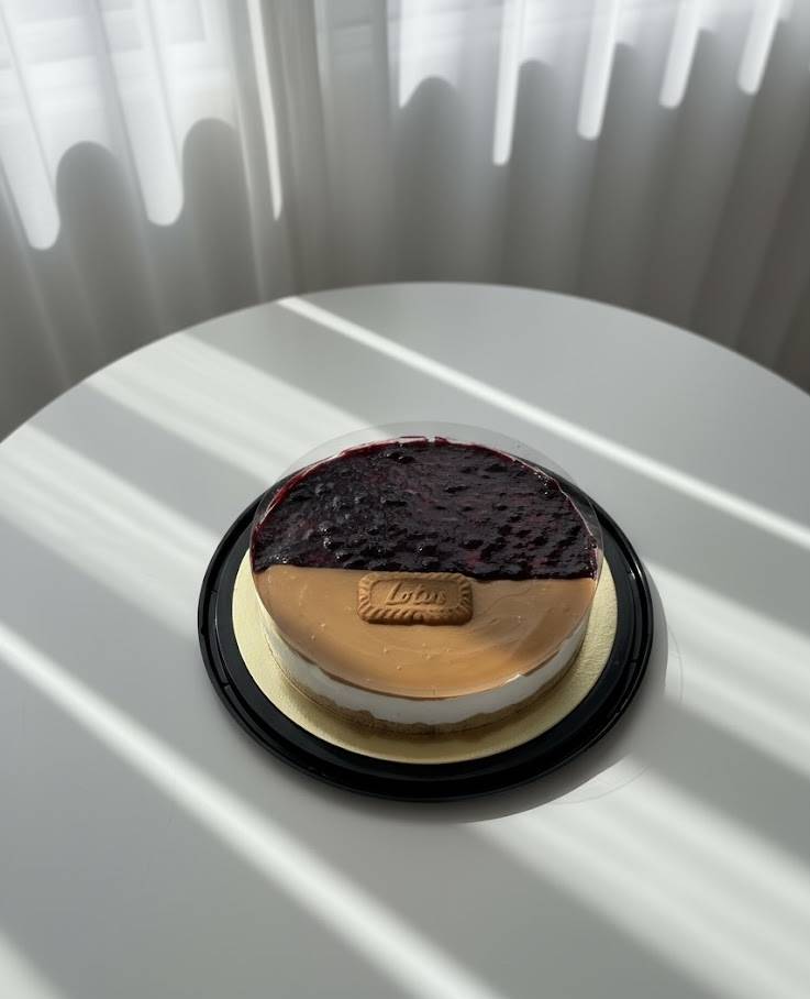 تشيز كيك مكس كبير
