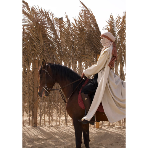 حصة تجريبية لركوب الخيل