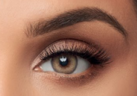 dahab honey Lenses-34