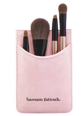 kit ready to carry brushes