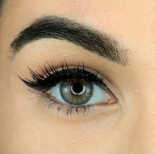 LUMINOUS LATIN GRAY