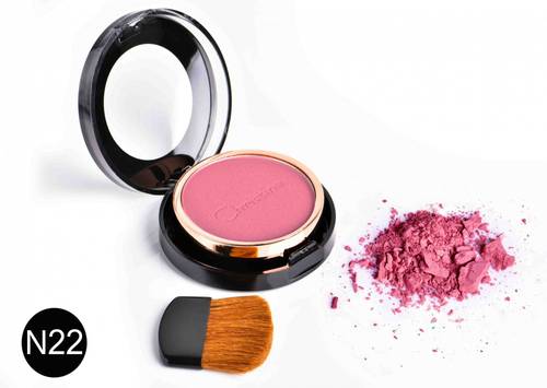 LONG LASTING 16 H BLUSH-N22