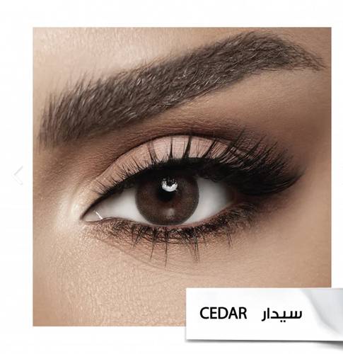 Diva Contact Lenses -cedar