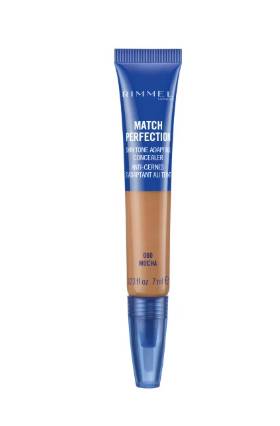 MATCH PERFECTION CONCEALER