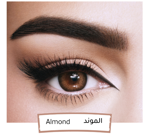 عدسات جورجينا من امارا- الموند