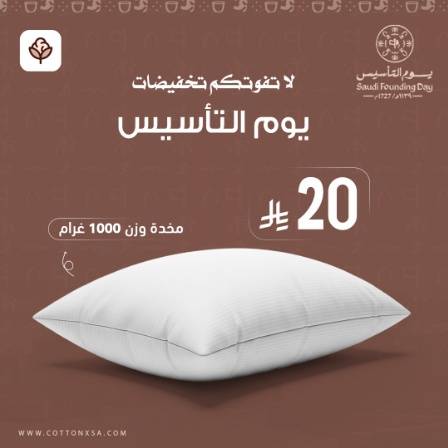  مخدة فندقية فاخرة - 1000 غرام