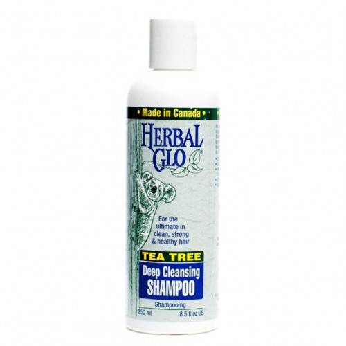 Herbal Glo Tea Tree Shampoo 250ML