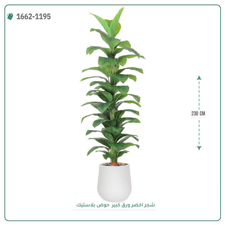 شجر مونستيرا صناعي ( ارتفاع 230 سم ) حوض بلاستيك