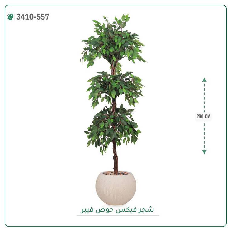 شجر فيكس صناعية ( ارتفاع 200 سم ) حوض فيبر
