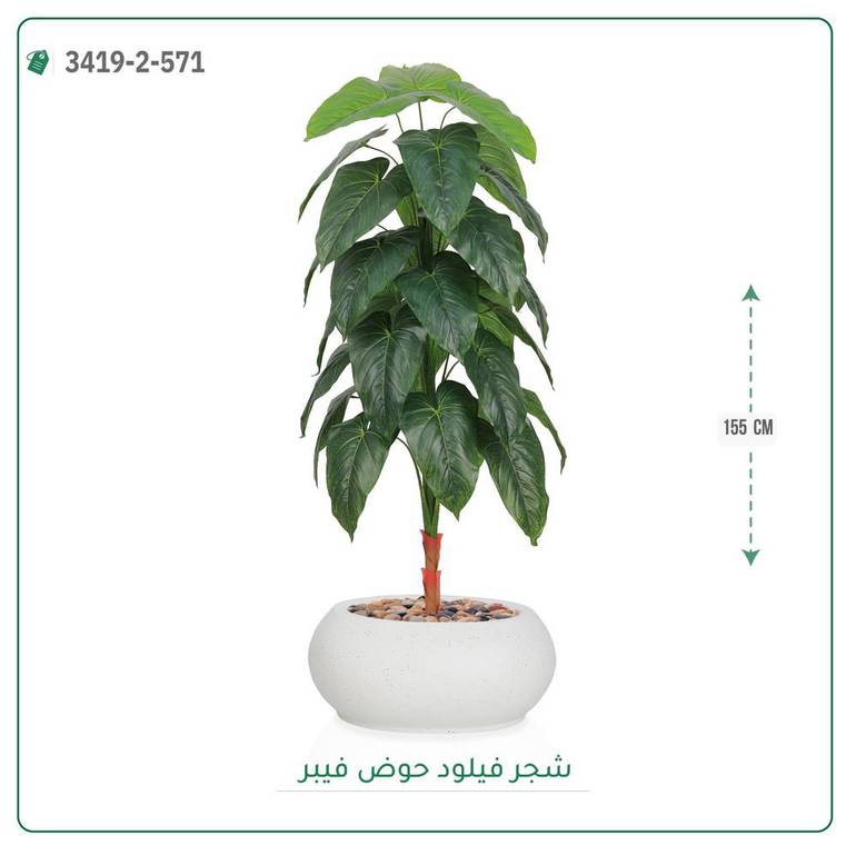 شجرة فيلود صناعية ( ارتفاع 160 سم ) حوض فيبر