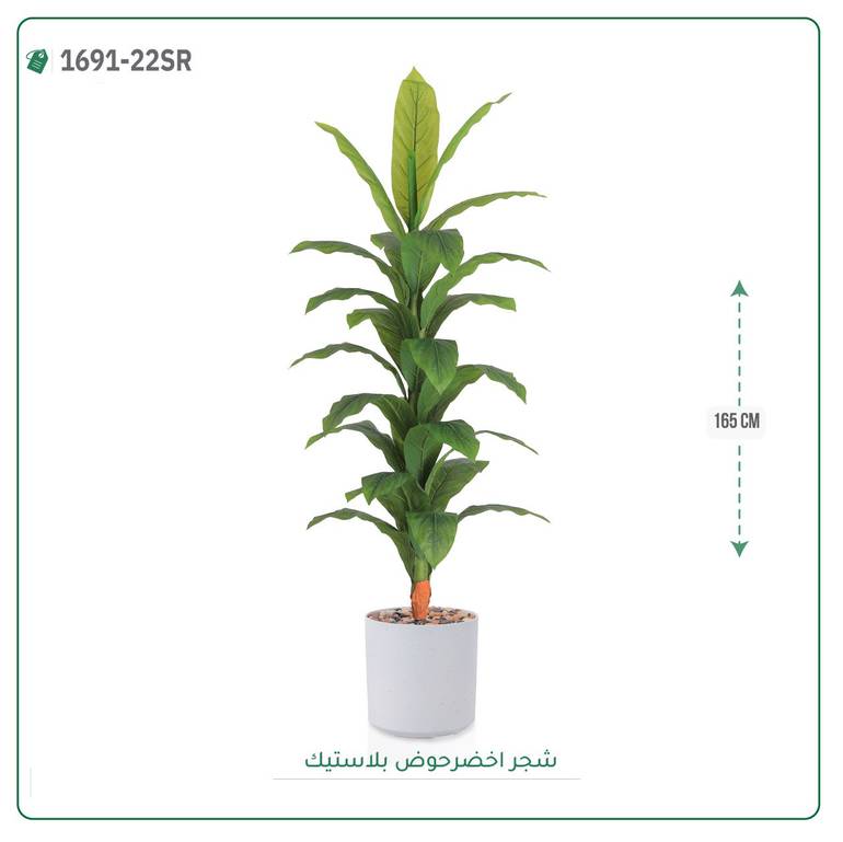 شجرة ورق أخضر وسط بمركن بلاستيك أسطواني