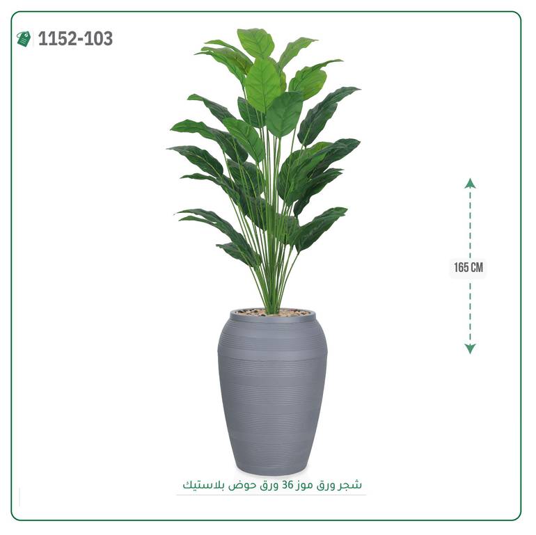 شجر ورق موز صناعية ( ارتفاع 165 سم ) حوض بلاستك