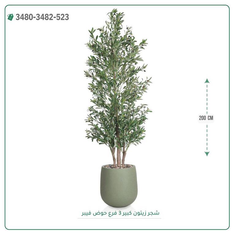 شجرة زيتون صناعية ( ارتفاع 200 سم ) حوض فيبر