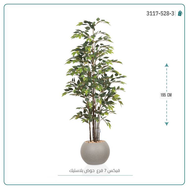 شجرة فيكس (7 فروع) بارتفاع195بمركن بلاستيك دائرى