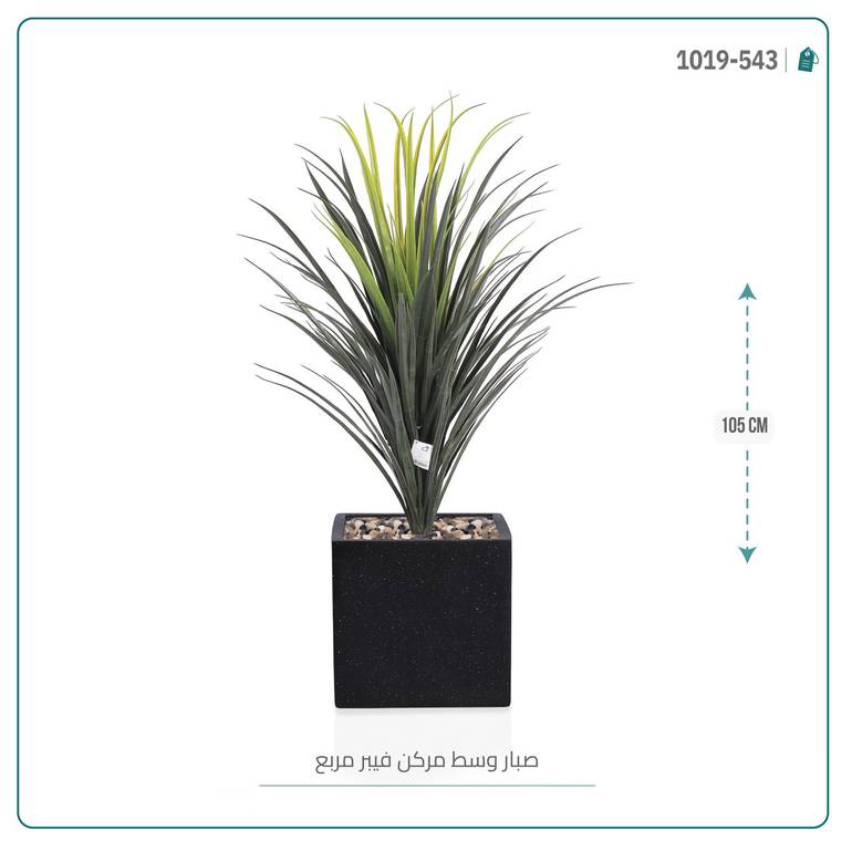 شجرة صبار اصطناعى بمركن فيبر مربع