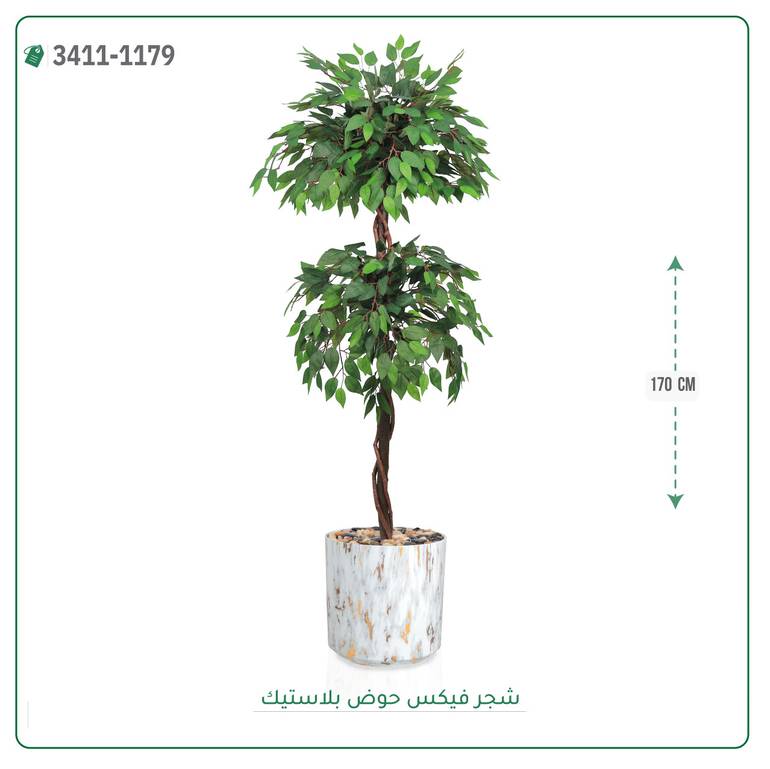 شجر فيكس صناعية ( ارتفاع 170 سم ) حوض بلاستيك