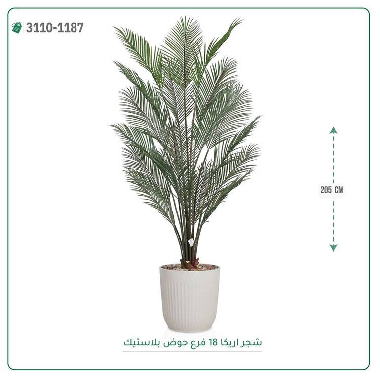 شجر اريكا صناعية ( ارتفاع 205 سم ) حوض بلاستك