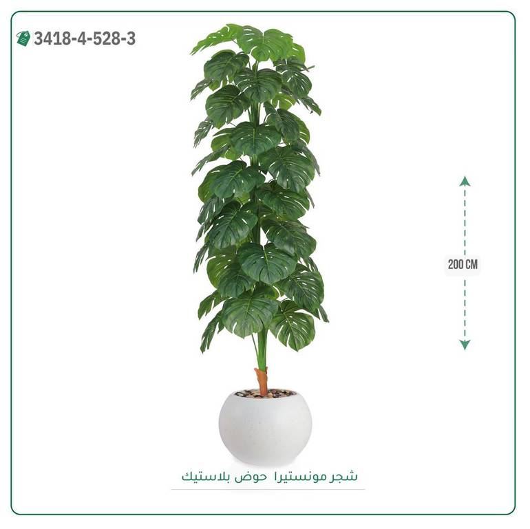 شجرة مونستيرا صناعية ( ارتفاع 200 سم ) حوض بلاستيك