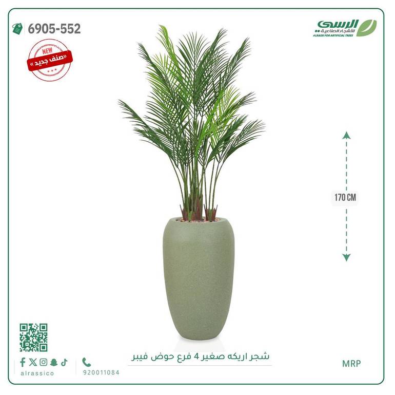 شجرة أريكا صناعية ( ارتفاع 170 سم ) حوض فيبر