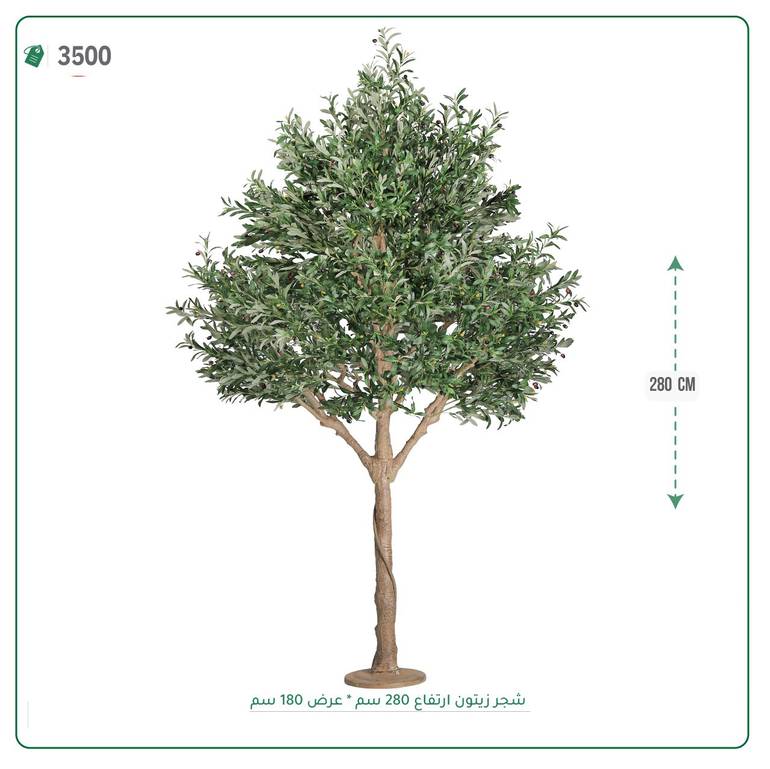 شجرة زيتون اصطناعية ( ارتفاع 280 سم ) حوض خام