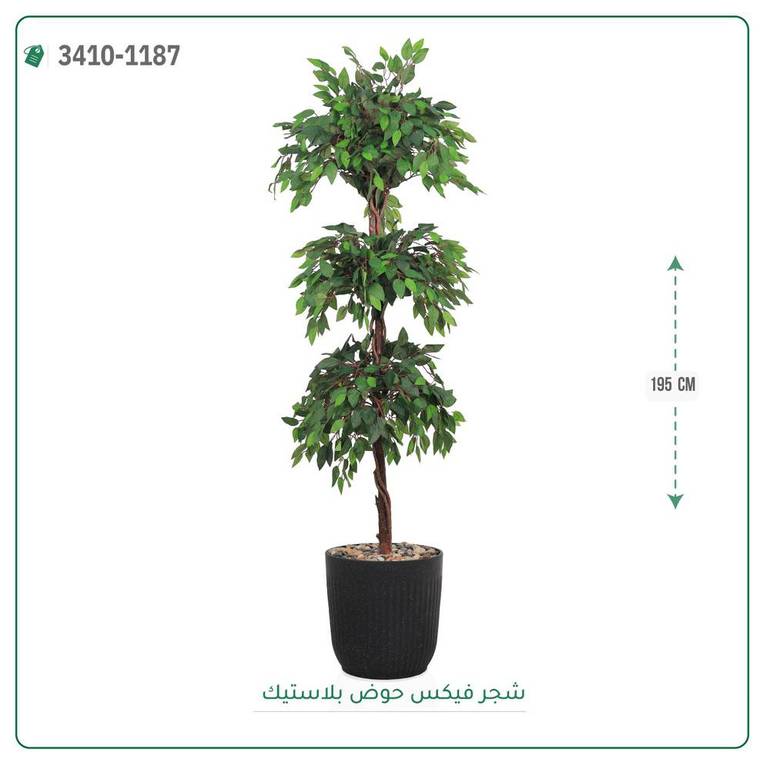 شجر فيكس صناعية ( ارتفاع 195 سم ) حوض بلاستك
