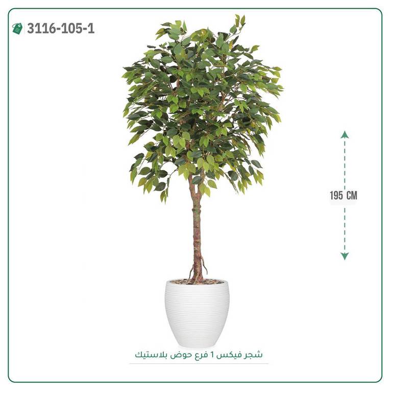 شجر فيكس صناعية ( ارتفاع 195 سم ) حوض بلاستيك