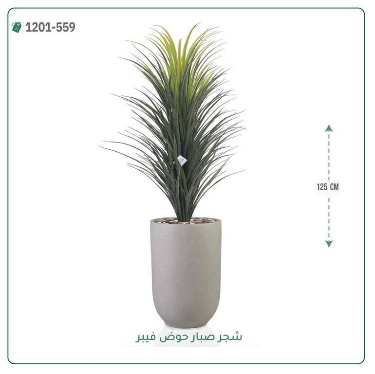 شجرة صبار اصطناعية ( ارتفاع 125 سم ) حوض فيبر