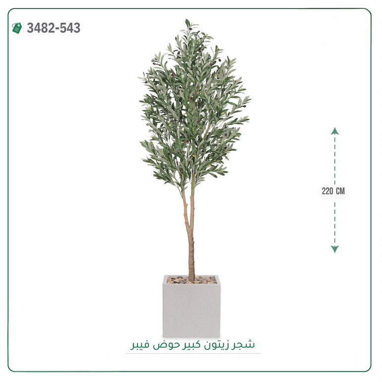 شجرة زيتون صناعية ( ارتفاع 220 سم ) حوض فيبر