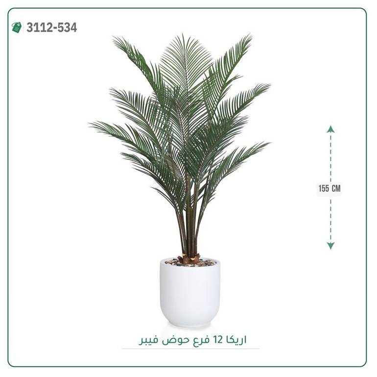 شجر أريكا صناعية ( ارتفاع 155 سم ) حوض فيبر