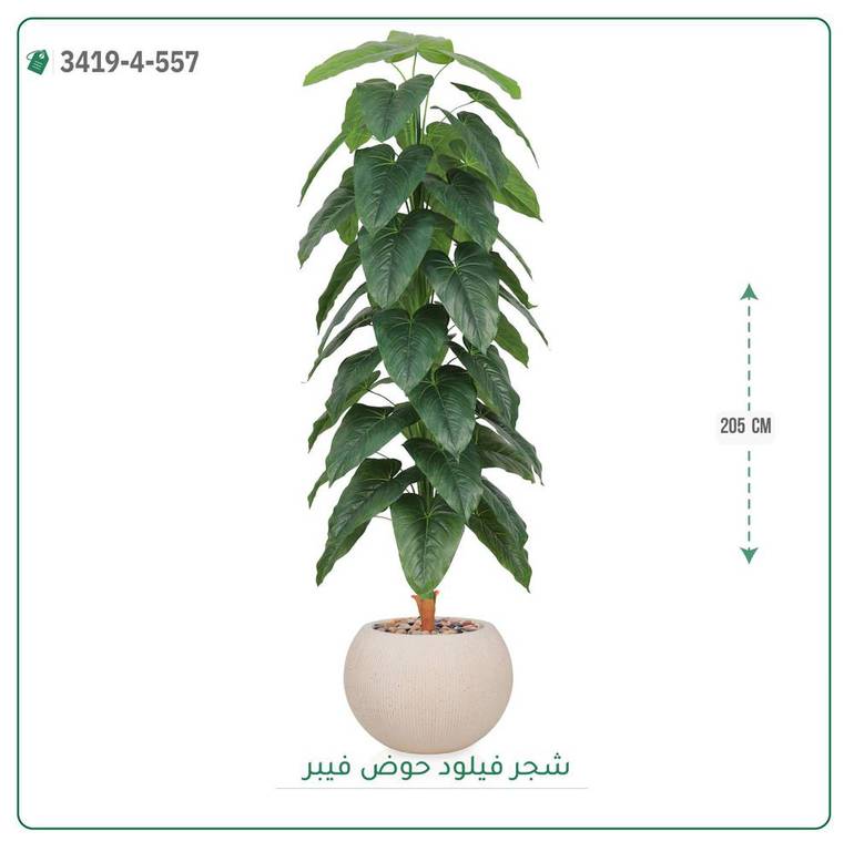 شجرة فيلود صناعية ( ارتفاع 205 سم ) حوض فيبر دائري