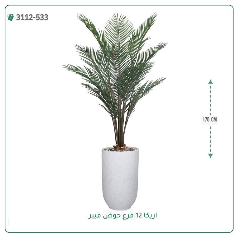 شجر أريكا صناعية ( ارتفاع 175 سم ) حوض فيبر
