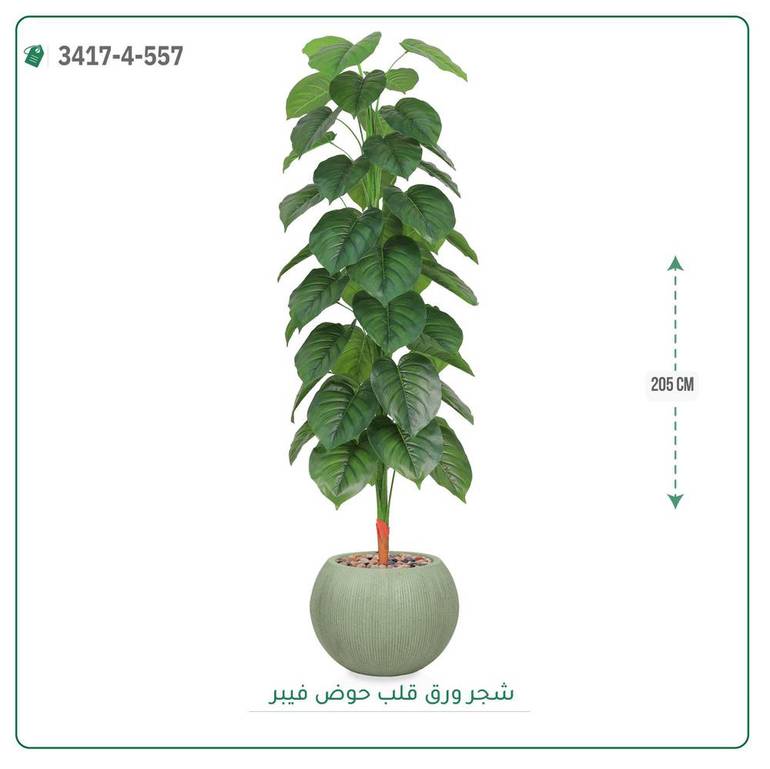 شجرة ورق قلب اصطناعية ( ارتفاع 205 سم ) حوض فيبر