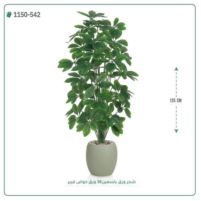 شجر ورق ياسمين صناعية ( ارتفاع 125 سم ) حوض فيبر