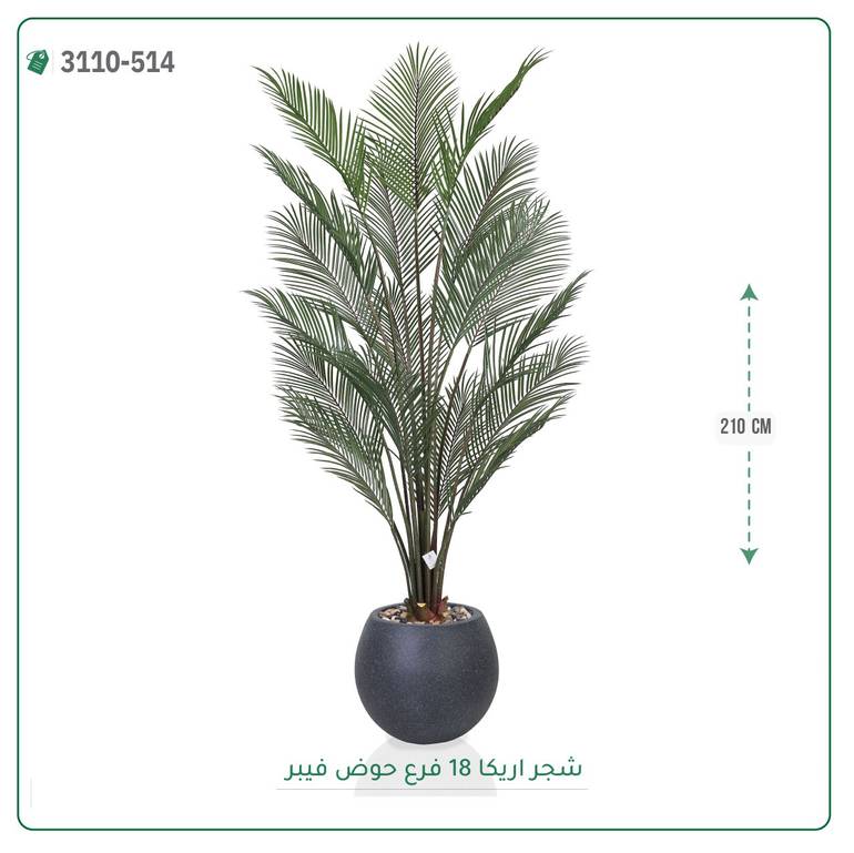 شجرة أريكا صناعية نضرة بحوض فيبر