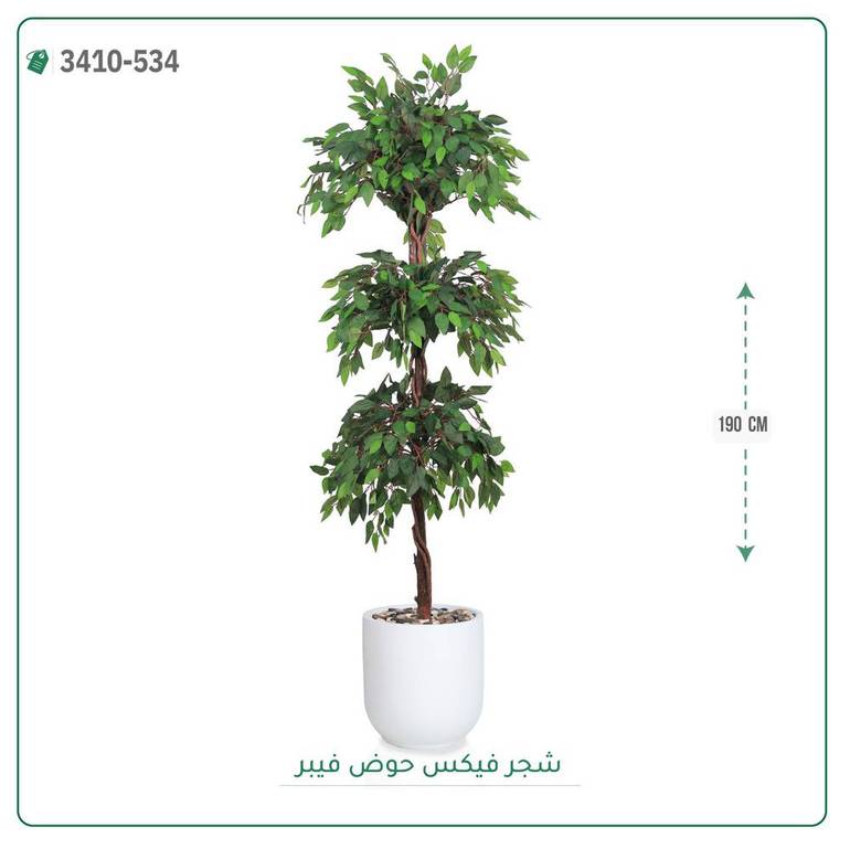 شجر فيكس صناعية ( ارتفاع 190 سم ) حوض فيبر