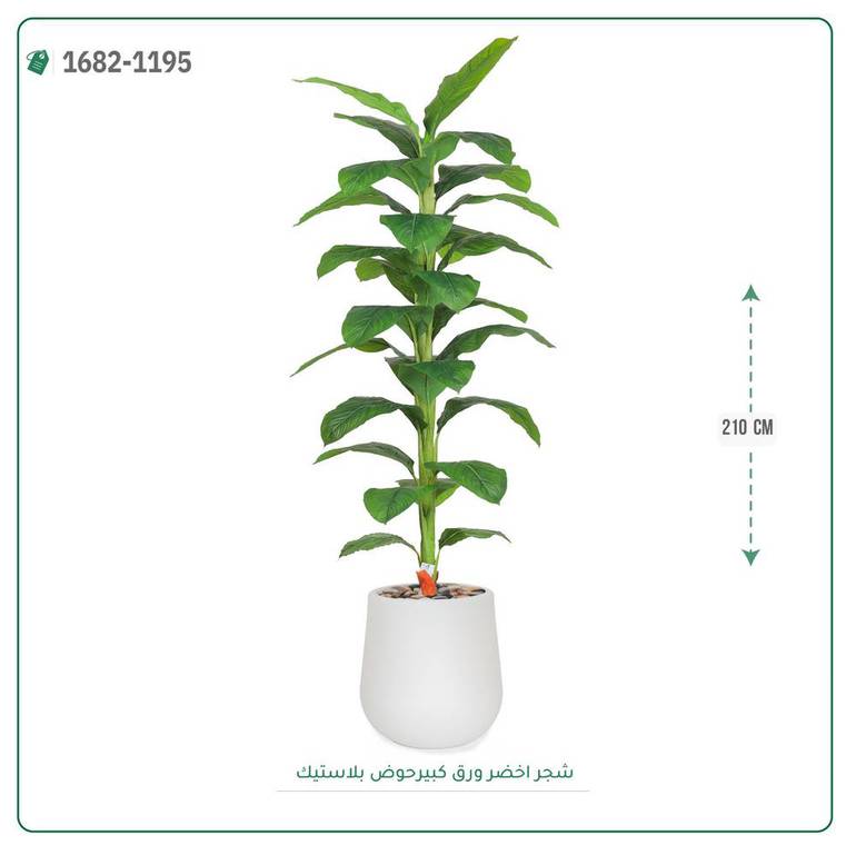 شجر أخضر صناعي ( ارتفاع 210 سم ) حوض بلاستيك