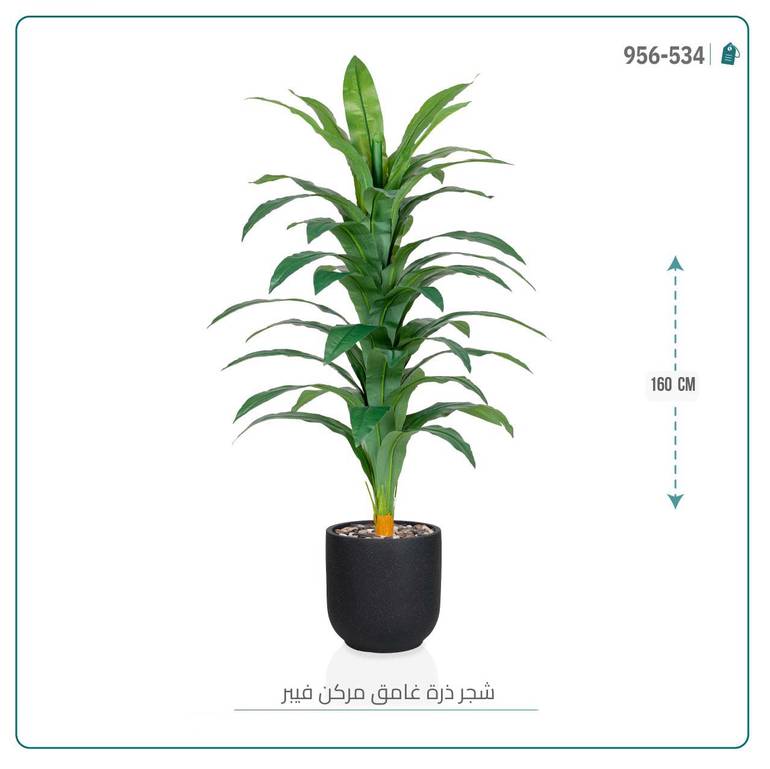 شجرة نبات الذرة (دراسينا) الاصطناعية بمركن فيبر أسطواني