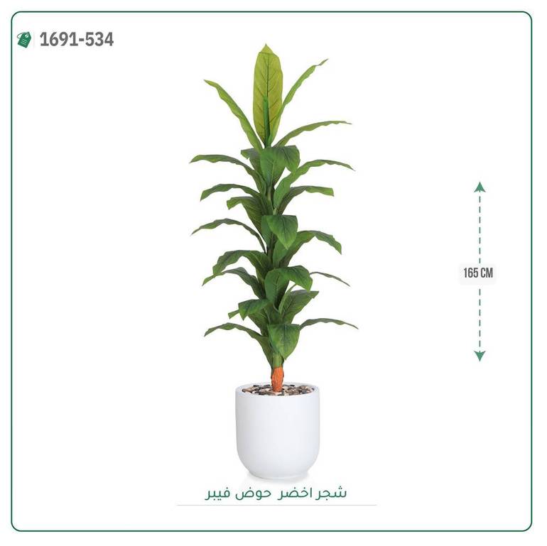 شجرة ورق أخضر وسط بمركن فيبر اسطوانى