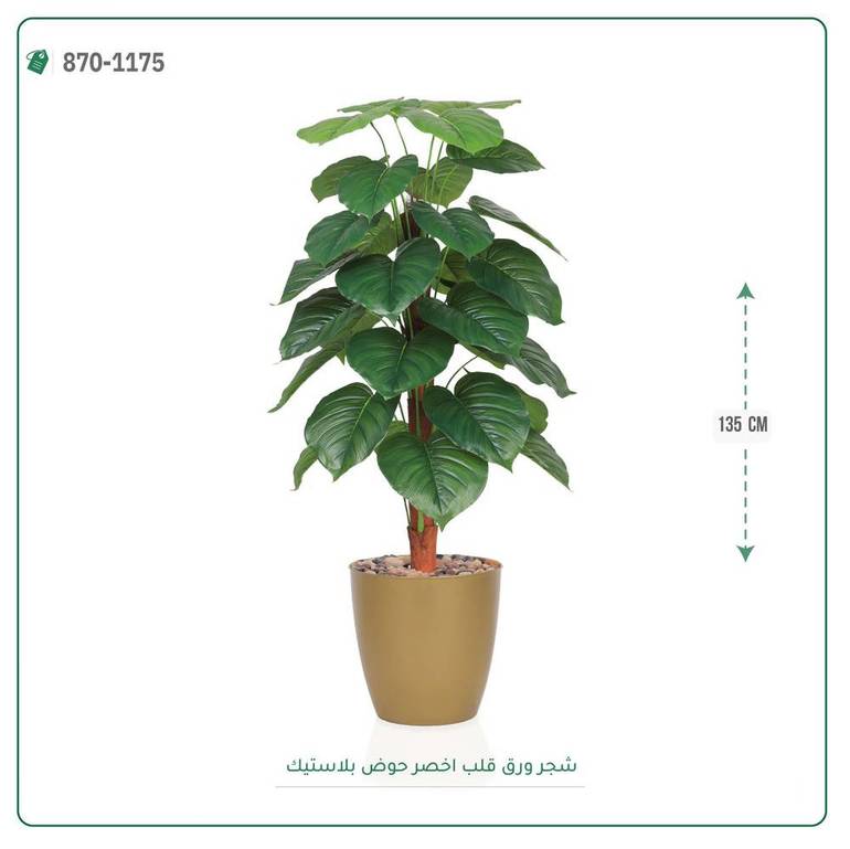 شجرة ورق قلب اصطناعية ( ارتفاع 135 سم ) حوض بلاستيك