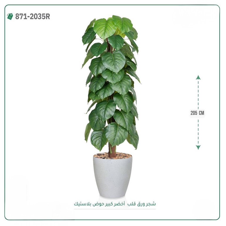 شجرة ورق قلب اصطناعية ( ارتفاع 205 سم ) حوض بلاستيك